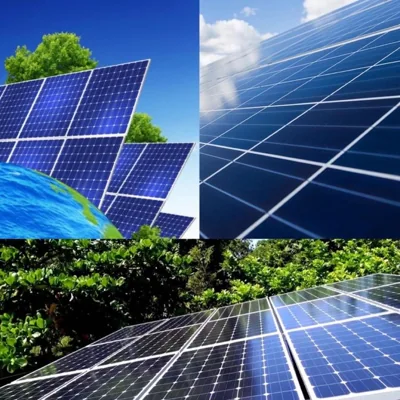 Eco Nest – 사진 11